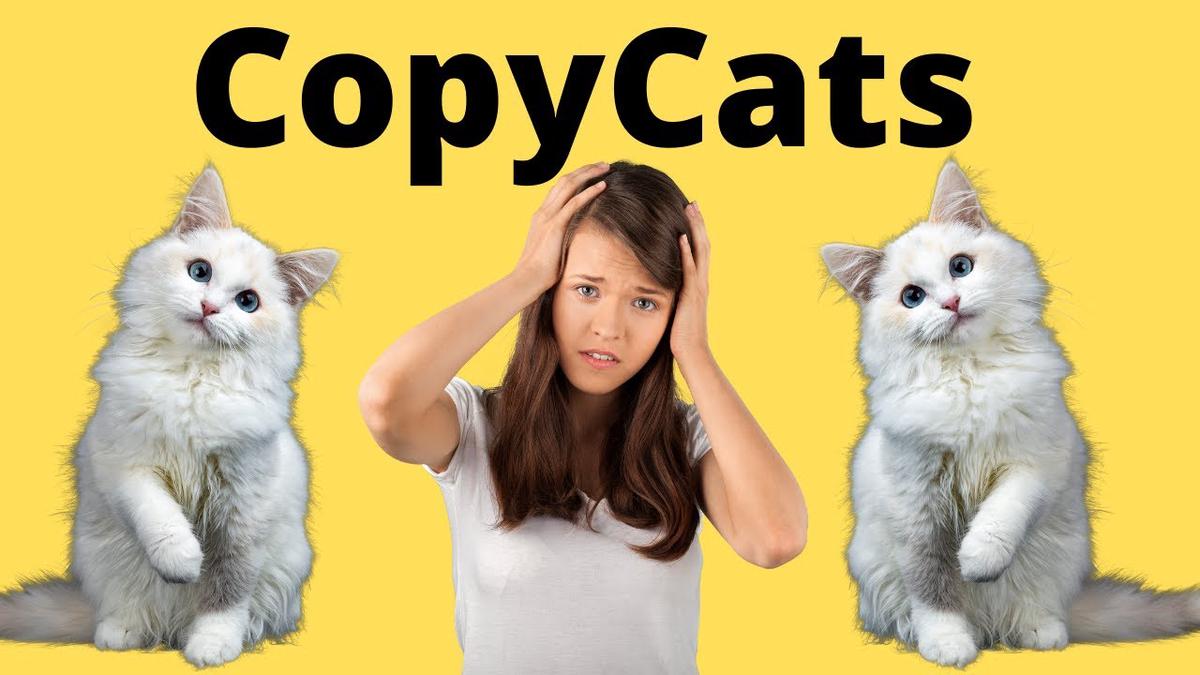 'Video thumbnail for Copycat websites - Scammers - Fakes - Cheats - My website was copied AGAIN!!!!'